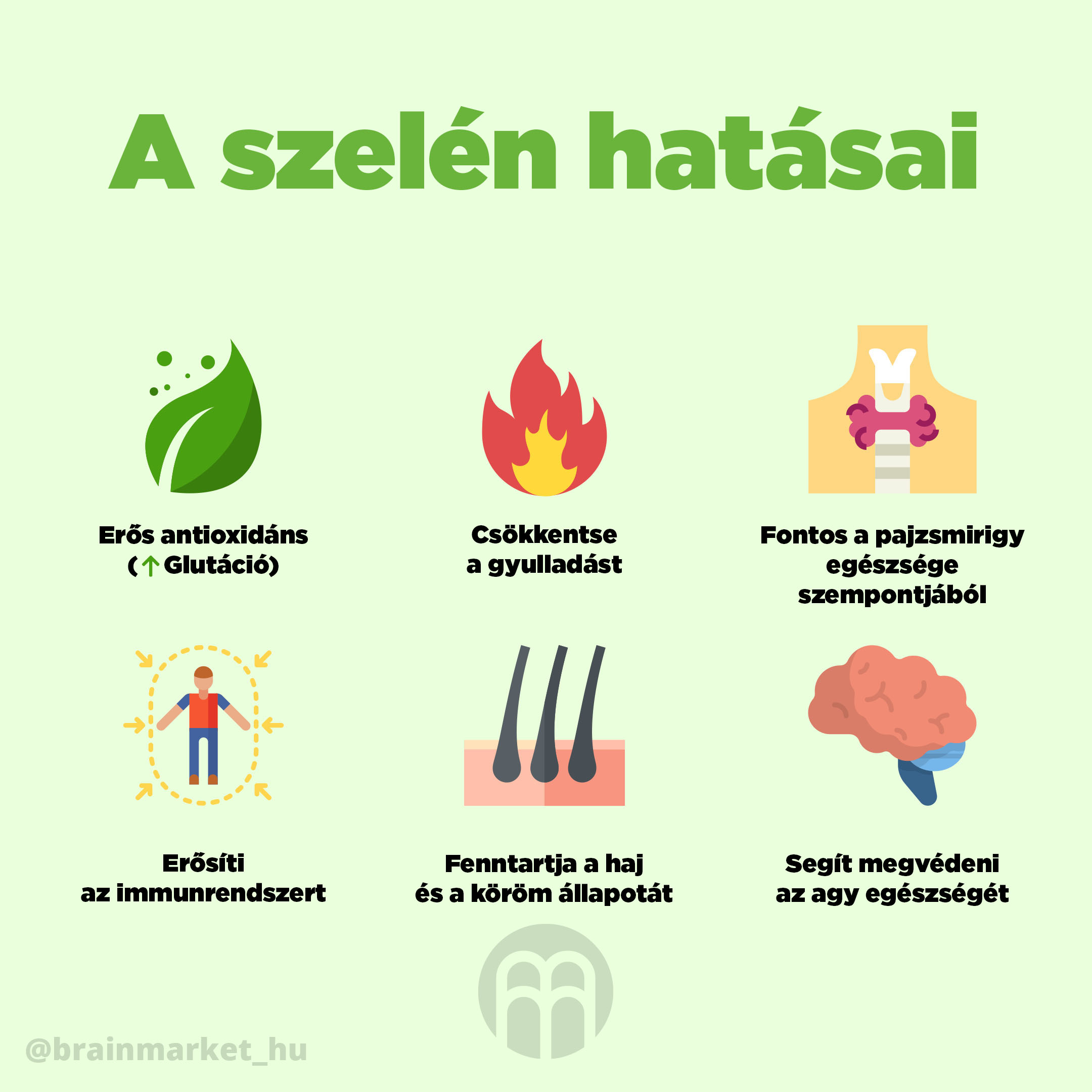 selen_infografika_brainmarket_HU